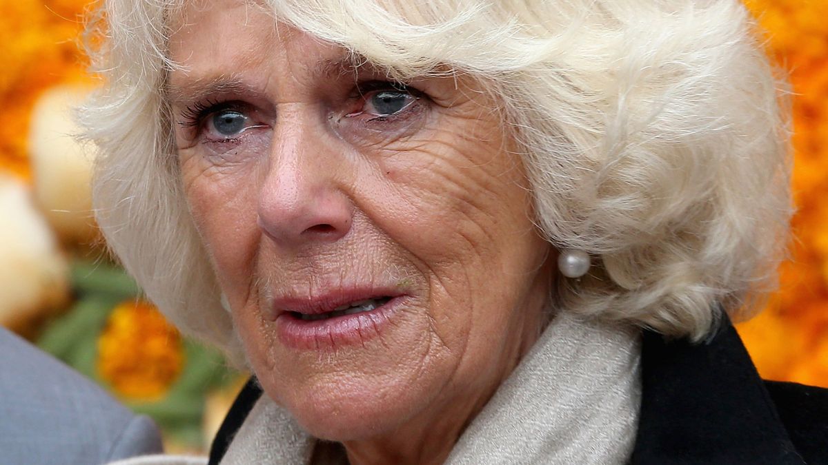 Queen Camilla Cried Watching British Team at Paris Olympic Games 2024